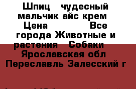 Шпиц - чудесный мальчик айс-крем › Цена ­ 20 000 - Все города Животные и растения » Собаки   . Ярославская обл.,Переславль-Залесский г.